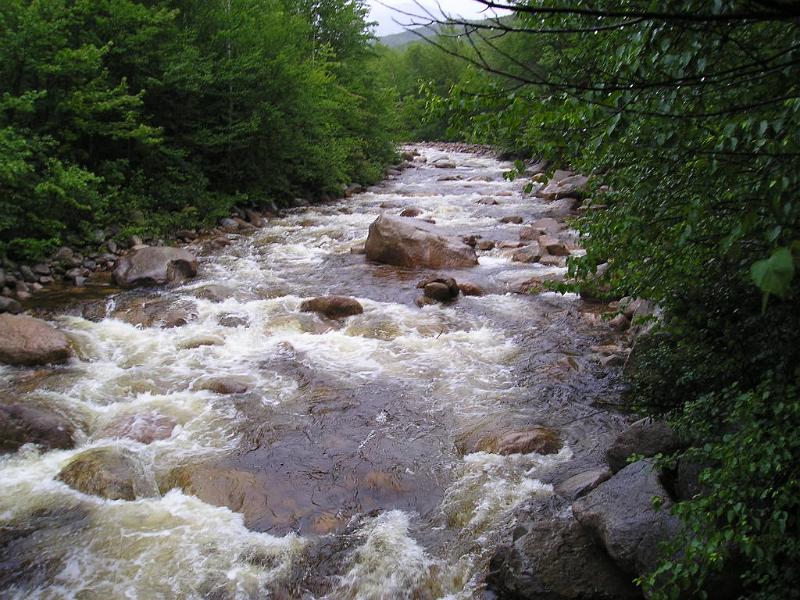 PemiBridgeHike (16).JPG - The water under the bridge was intense.